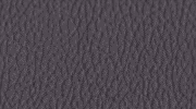 Genuine Leather Grey [+$252.00]